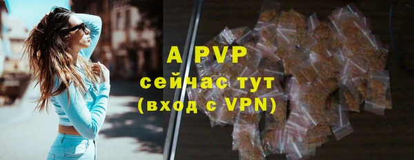 тгк Белокуриха