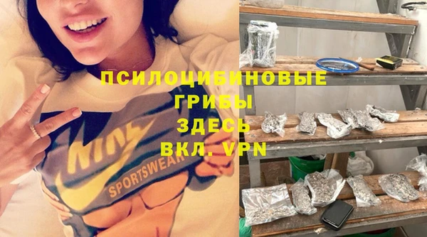 тгк Белокуриха