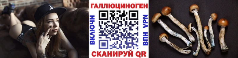 купить Мезень Псилоцибиновые грибы прущие грибы